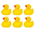 Quack Pack Adoption