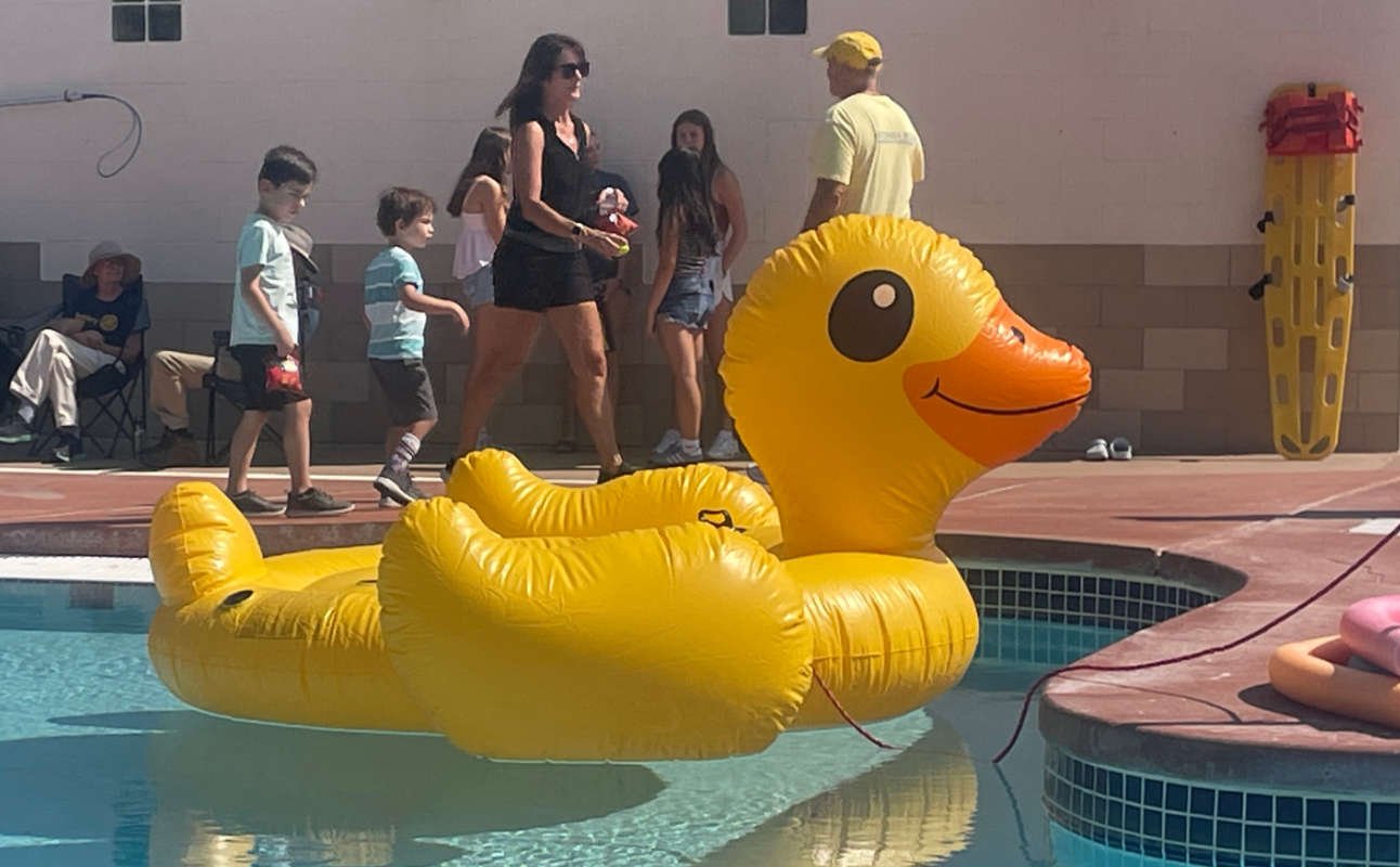 Giant inflatable duck in the pool
