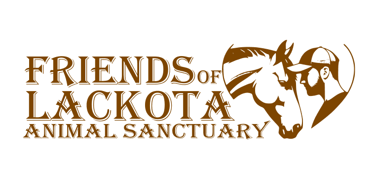 friends of lackota logo