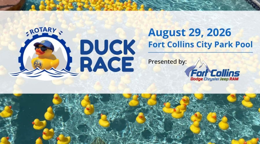 Duck Race Essentials