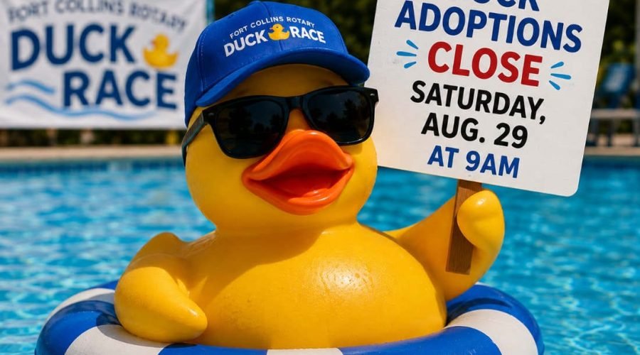 Duck adoptions close