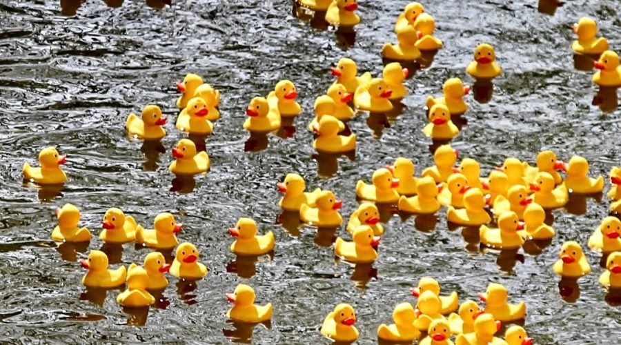 2023 Block party inviteF